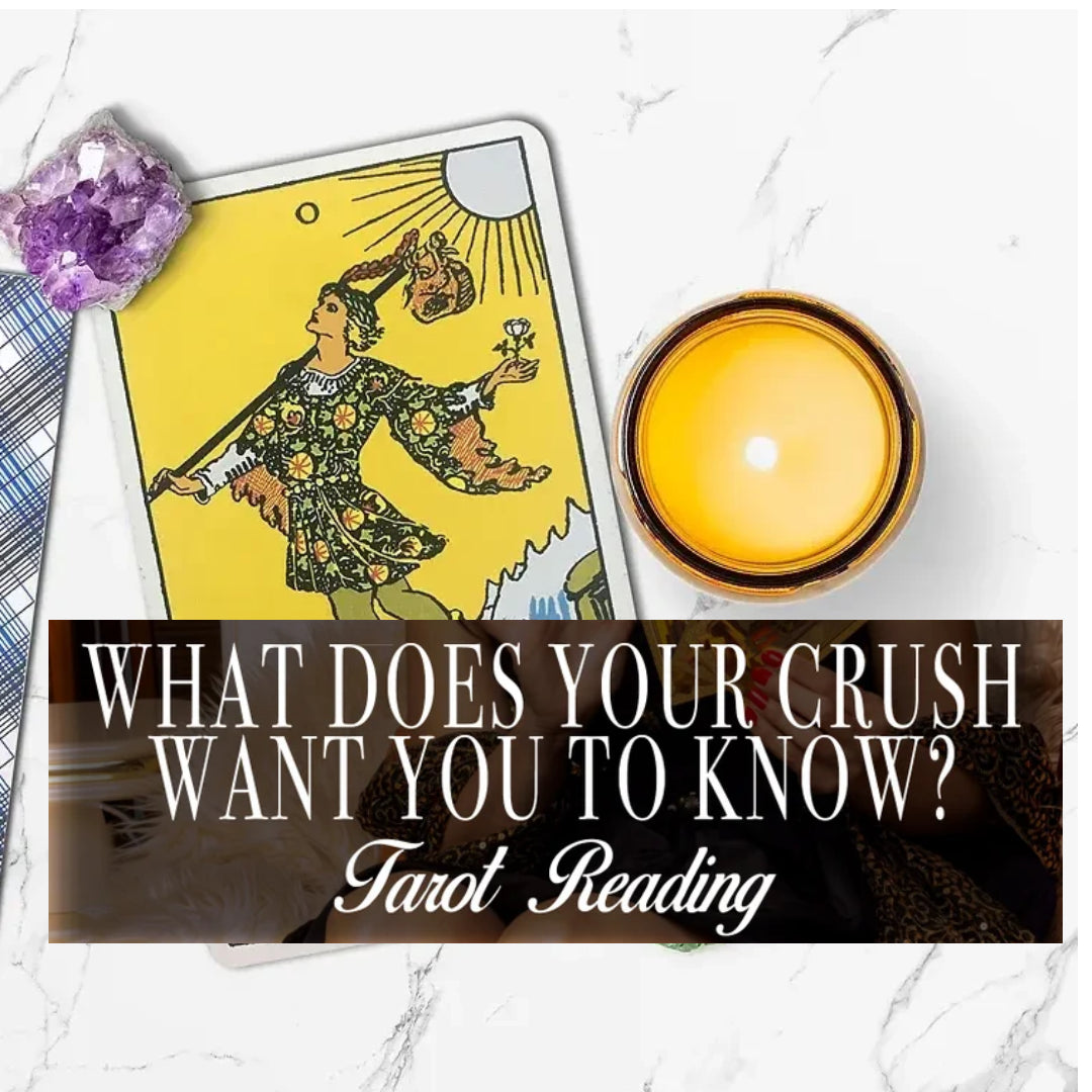 What Your Crush Wants You to Know? Love Tarot Reading